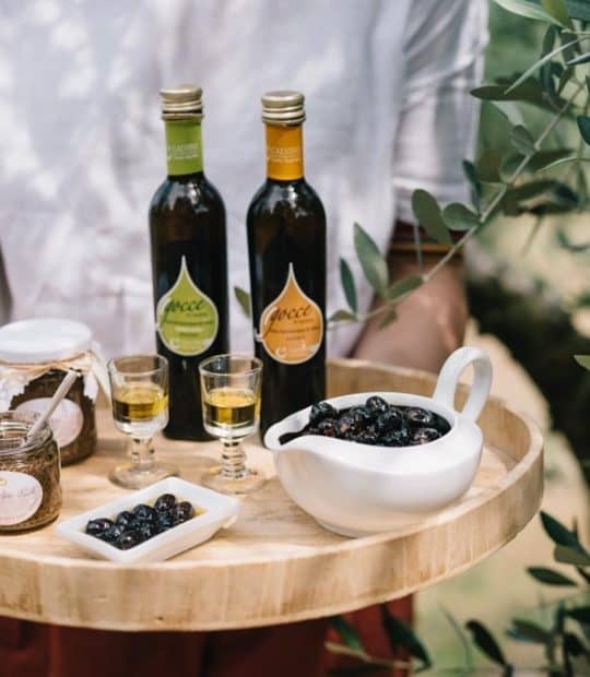 Tastings and Guided Tours 3